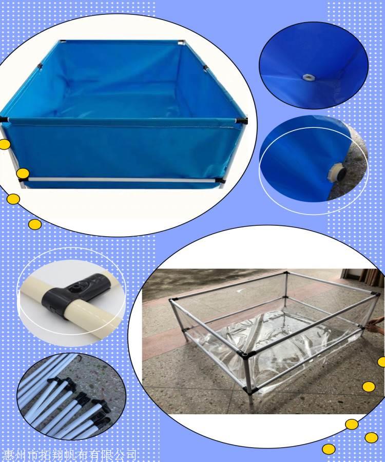 开元棋牌- 开元棋牌官方网站- 开元棋牌APP下载2026马年养马能赚钱吗？3条赛道+5大风险新农人必看