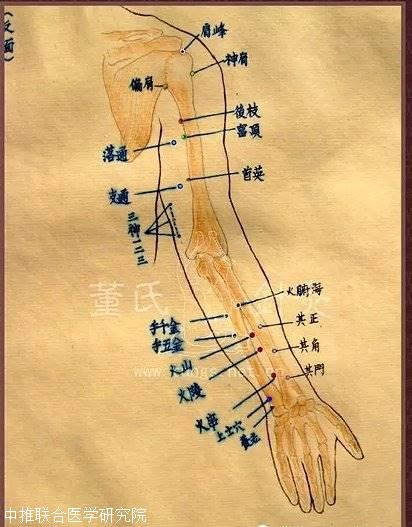董氏针灸有别于十四经络,所设穴道部位亦与三百六十五穴者大不相同