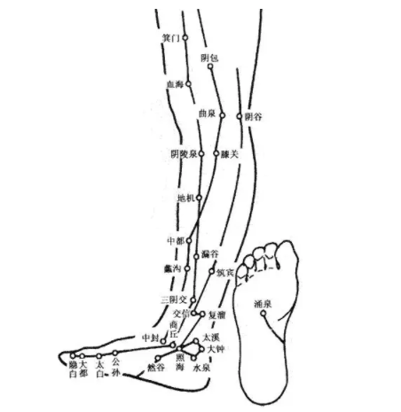 人体经络穴位功能介绍大全