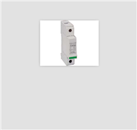 法国西岱尔DS40G-600保护器