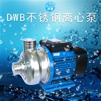 广东凌霄不锈钢离心泵DWB300/500家用增压园艺灌溉循环泵