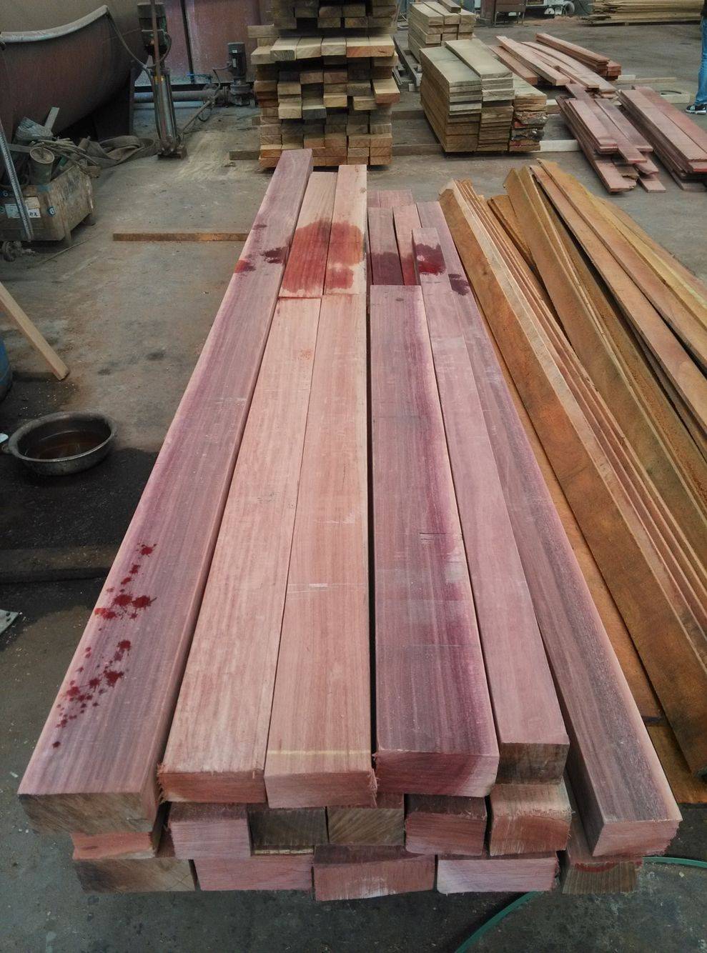 红梢木价格 红梢木特征用途