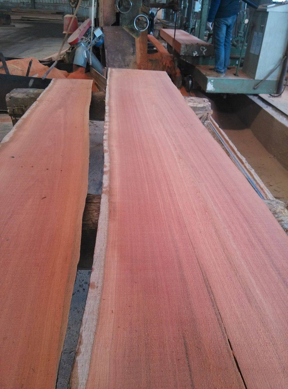 西藏柳桉木品格巴劳木和菠萝格谁贵