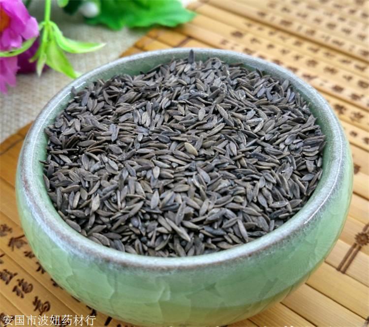 五爪龙批发零售 五爪龙哪里有卖