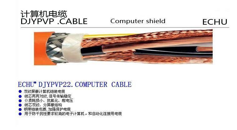ZR-DJYPVP計算機電纜DJYP2VP2阻燃黑色護套電纜