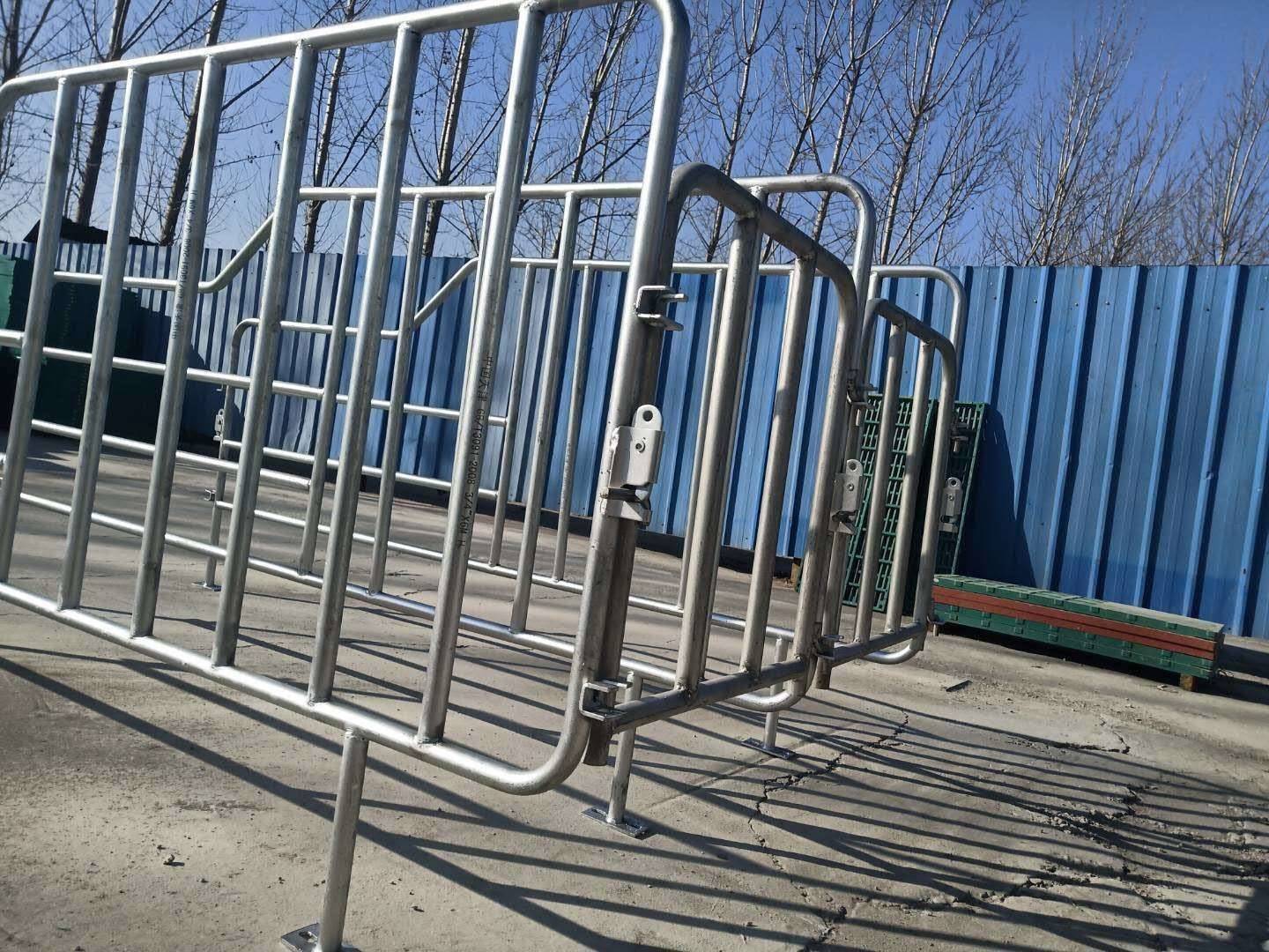 猪用限位栏优质母猪定位栏带食槽限位栏尺寸