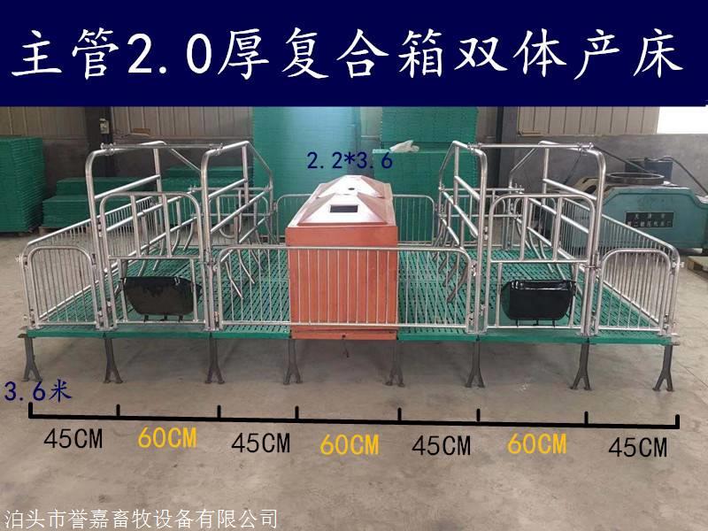 母豬產床複合產床限位欄熱鍍鋅材質養殖