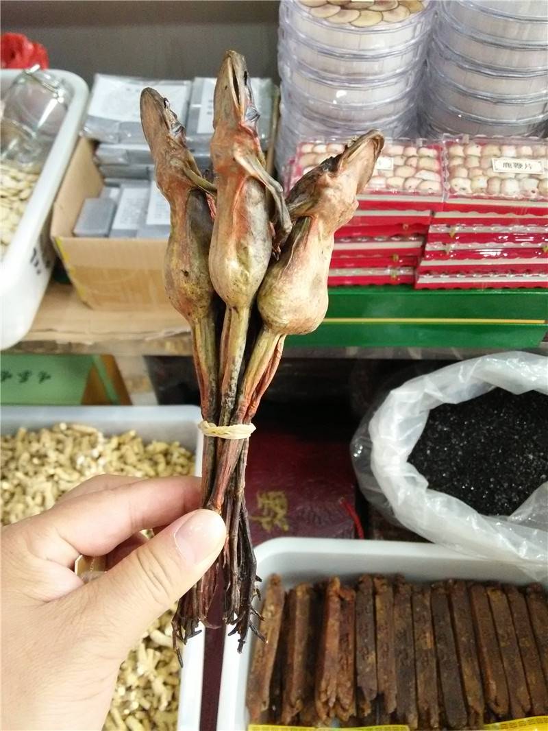 林蛙正品哪里购买 中药材批发网