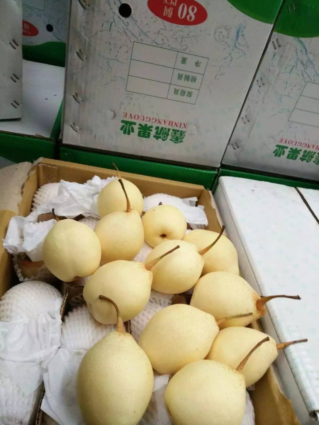 河北水晶梨早期果,96# 80# 60#型号产地直供