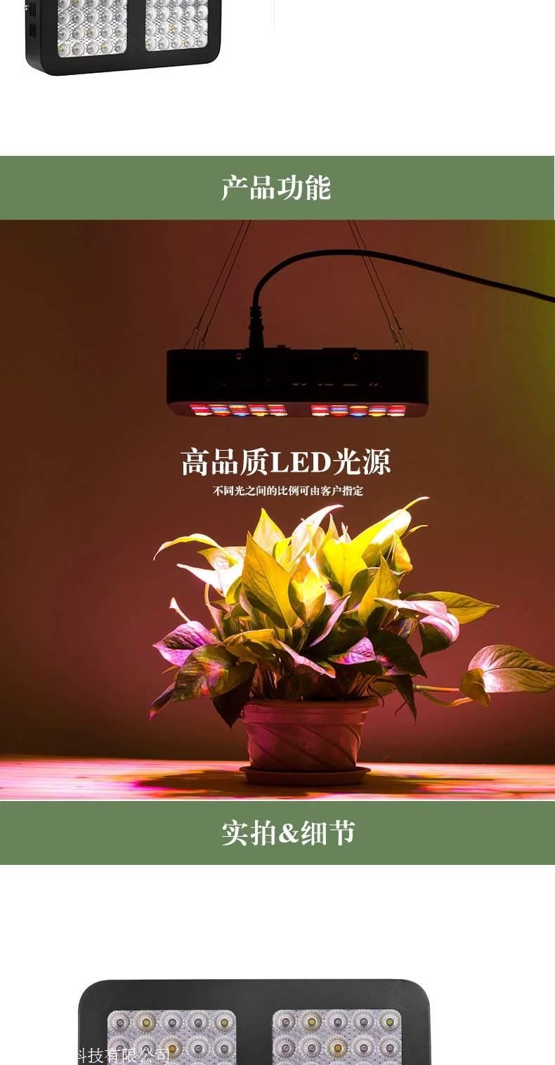 草莓种植大棚补光灯led生长灯厂家