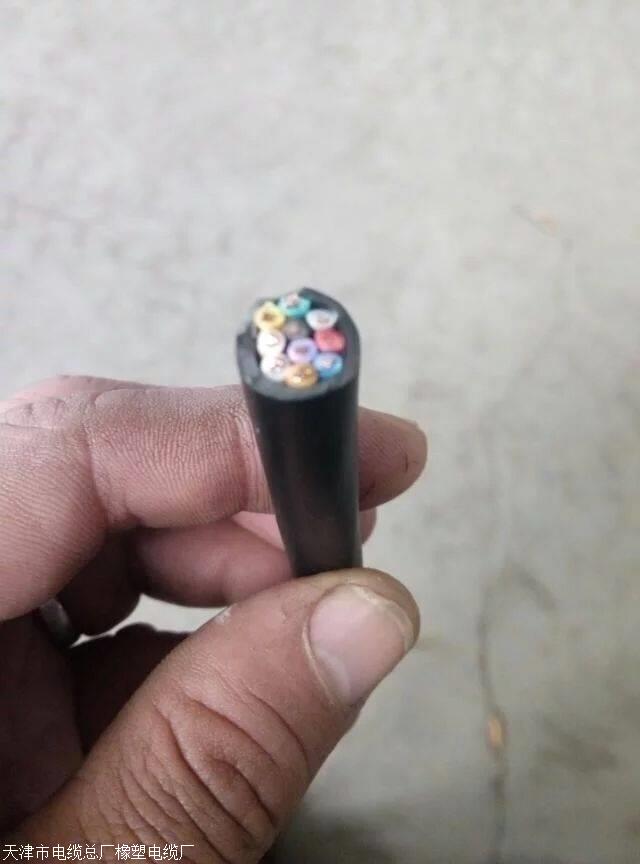 DJPVP22計(jì)算機(jī)電纜DJYVP屏蔽控制電纜