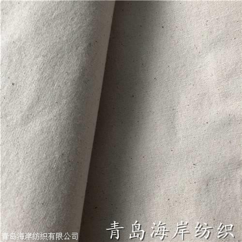 全棉帆布C21/2X10 51X40 160cm 箱包帆布