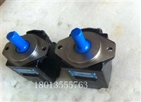 美国DENISON丹尼逊油泵T6D-024-1R00-C1