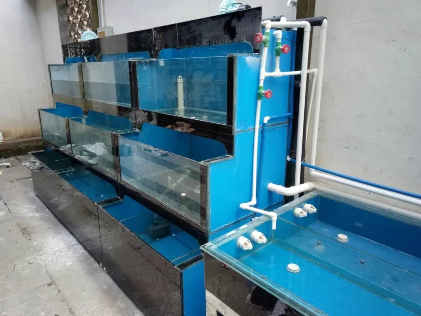 深圳移动海鲜池玻璃 商用制冷酒店饭店鱼缸