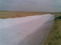 养护反滤遂道道路施工防水土工布