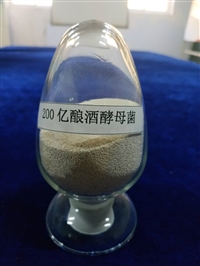 养殖牛羊用酵母菌，治疗腹泻拉稀便秘，提高采食量