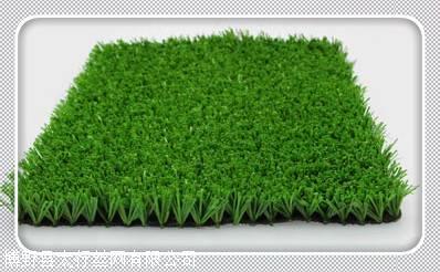 河北博野太行人造草坪网10厘米到5厘米高