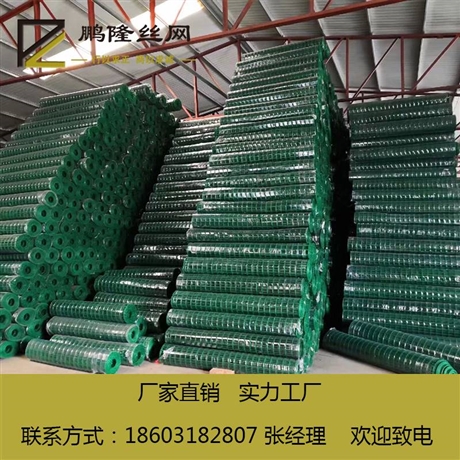 河北鹏隆丝网 养殖铁丝网 荷兰网 荷兰网 养鸡铁丝网 厂家