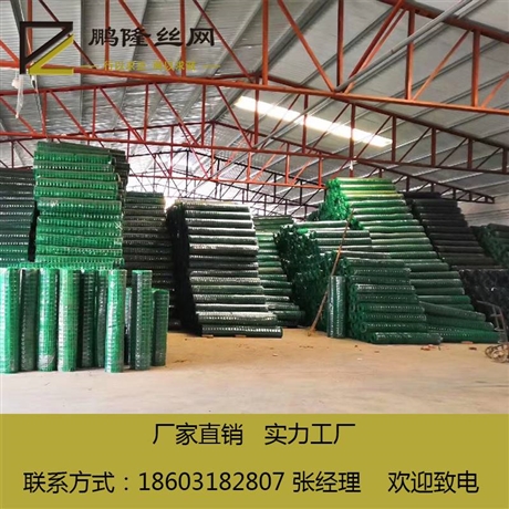 河北鹏隆丝网 养殖荷兰网 养殖铁丝网 荷兰网 厂家