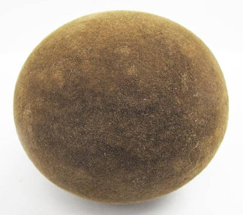 2019年驴宝哪里买家多