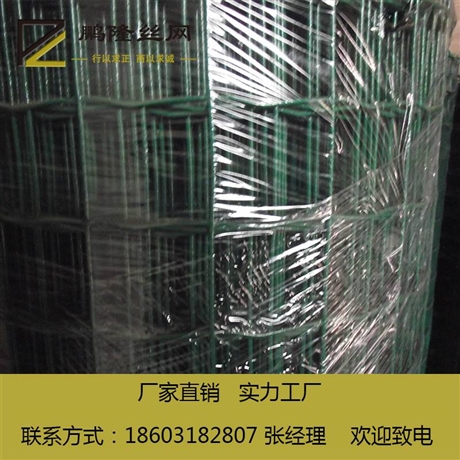 鹏隆 荷兰网 养殖铁丝网 绿色荷兰网 厂家供应