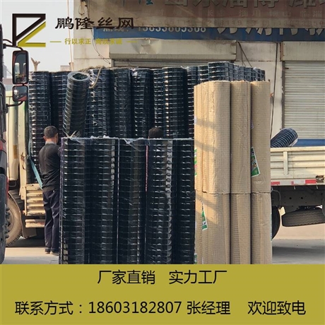 鹏隆 荷兰网 浸塑荷兰网 养殖铁丝网 养鸡铁丝网 厂家