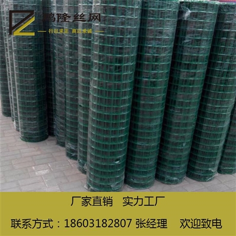 鵬隆 荷蘭網(wǎng) 綠色養(yǎng)殖荷蘭網(wǎng)  養(yǎng)雞網(wǎng) 源頭廠家
