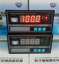 温度控制仪TDS-33276\TDS33256智能温度控制仪