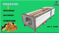 供应毛辊去皮清洗机 土豆芋头去皮清洗机价格怎样