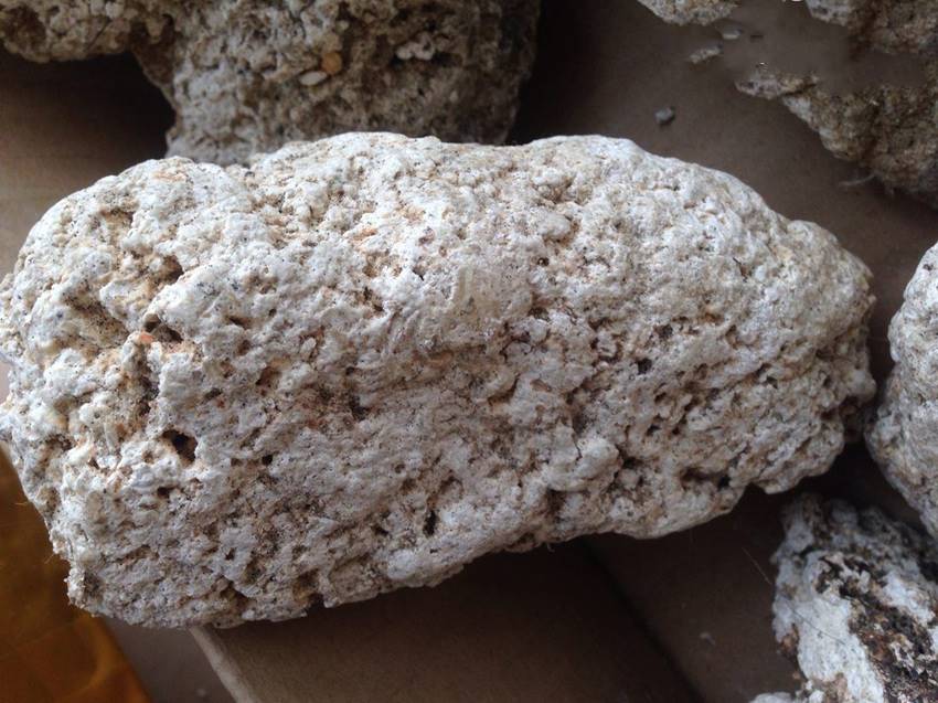 国内龙涎香哪里快速销售放心