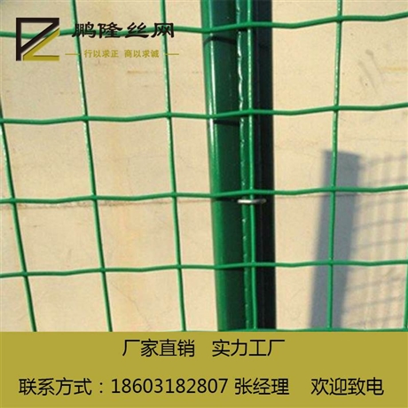 鹏隆 养殖铁丝网 PVC荷兰网 养鸡荷兰网 厂家