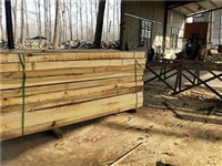 杨木板方厂杨木料厂家