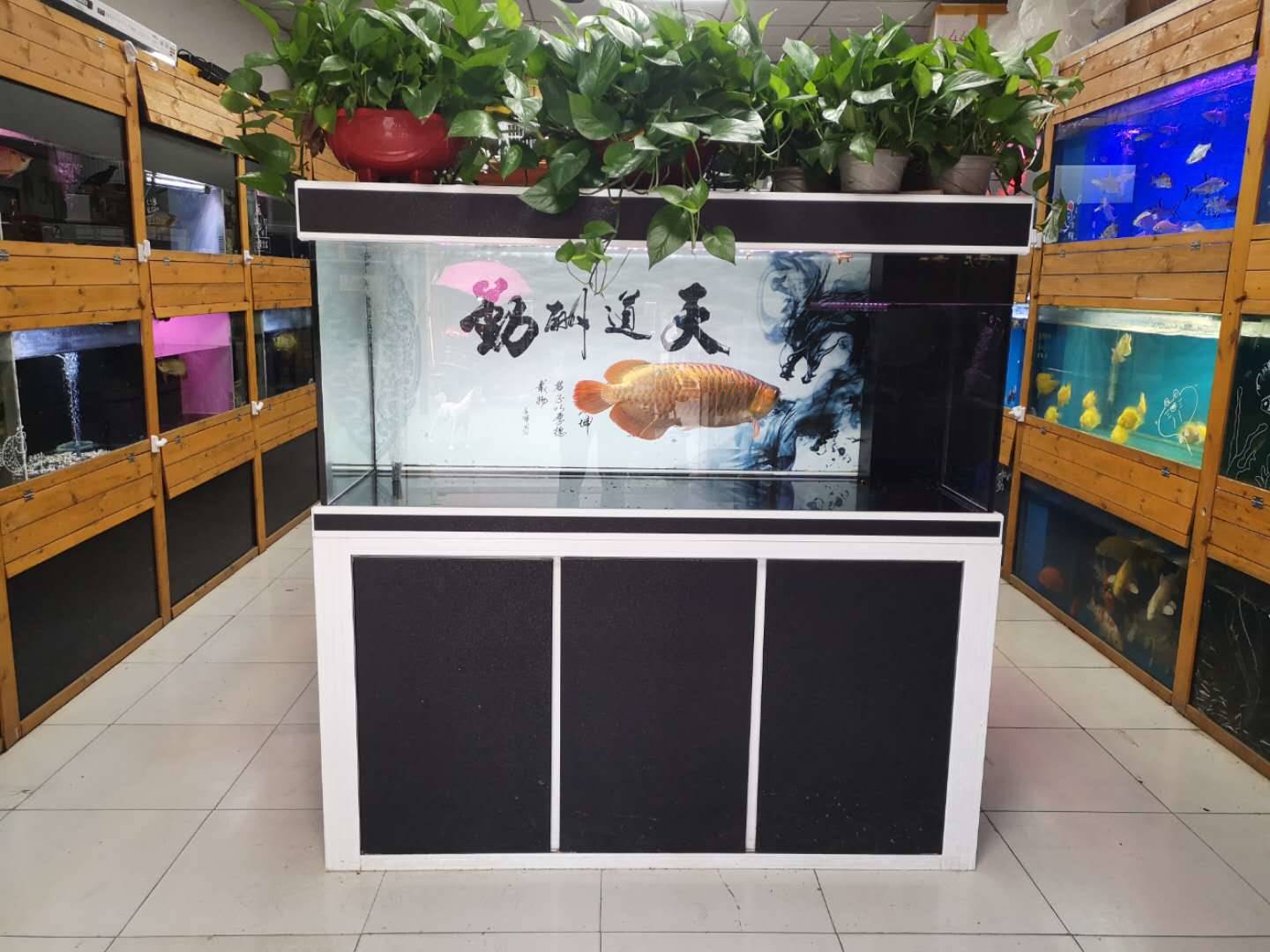 广东梅州市定制鱼缸价格