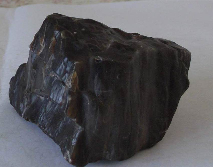 2020树化石价格体现在哪里