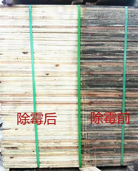 木材除霉剂 YZL喷涂霉变蓝不伤手杨木除霉 木质材料防腐效果明显