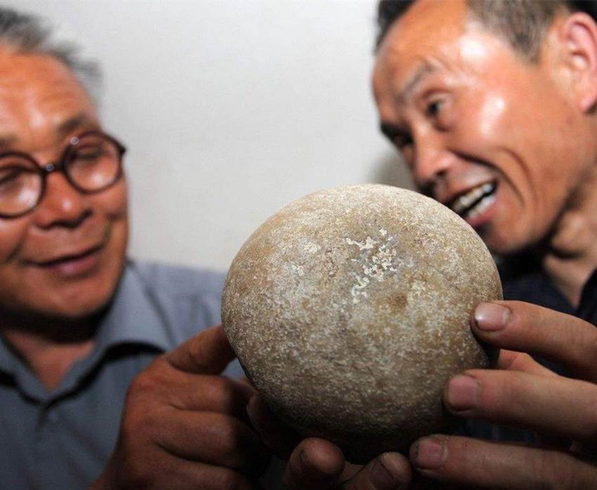 驴宝今年市场行情怎么样