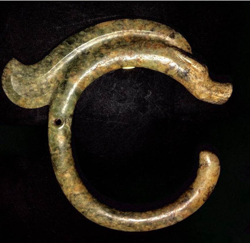 免费送拍央企 c形龙高价拍卖有多少