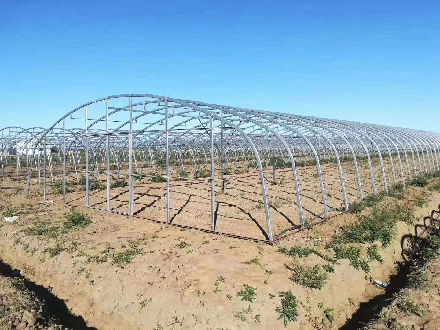 新型蔬菜大棚造价新型蔬菜大棚建设