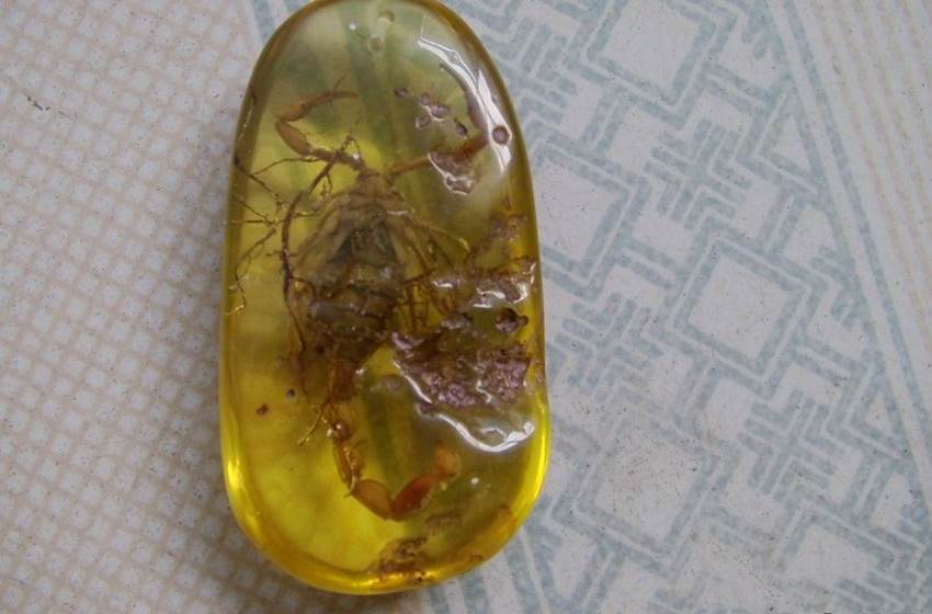 近期的石琥珀报价是多少