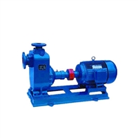 河北华潮65CYZ-15防爆容积泵质优价廉