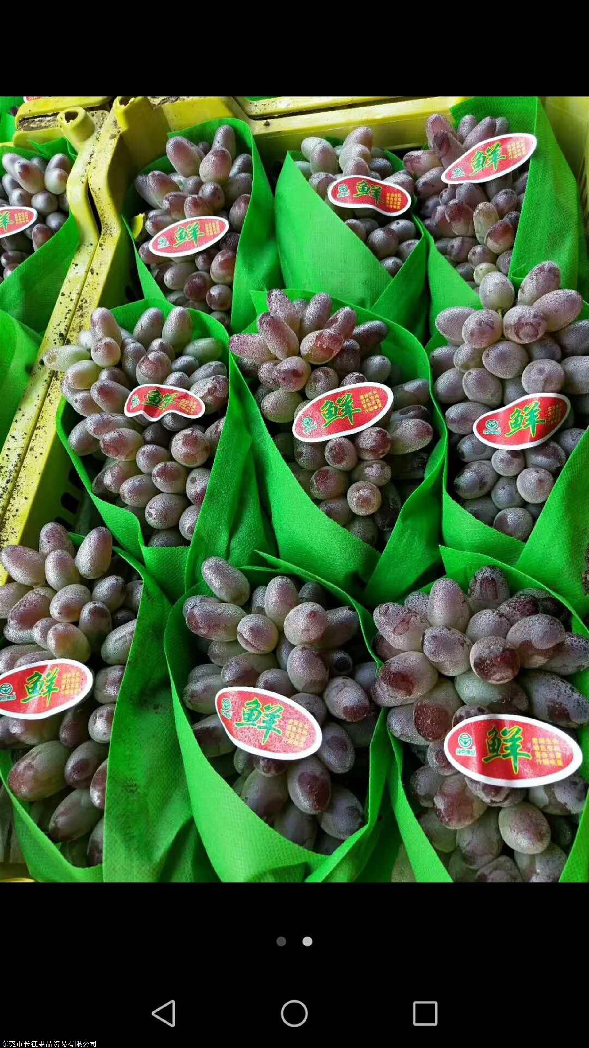 进口水果-进口水果价格/厂家/批发-中寰国际物流(广东)有限公司