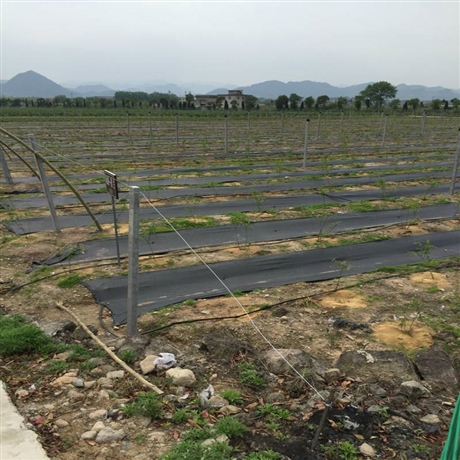 新型除草材料,山东除草布,抑制杂草寿命长,*杂草无公害