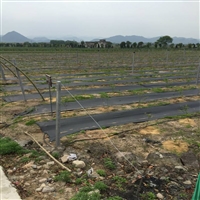 新型除草材料,山东除草布,抑制杂草寿命长,*杂草无公害