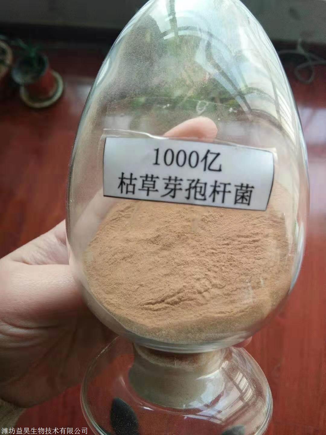 抗病抗重茬冲施肥枯草芽孢杆菌