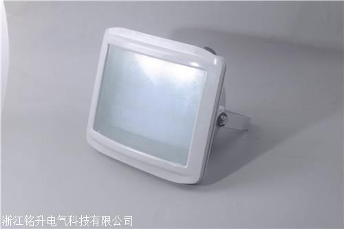 配电室三防壁灯nsc9720 150w100w气体放电灯 工厂车间泛光投光灯