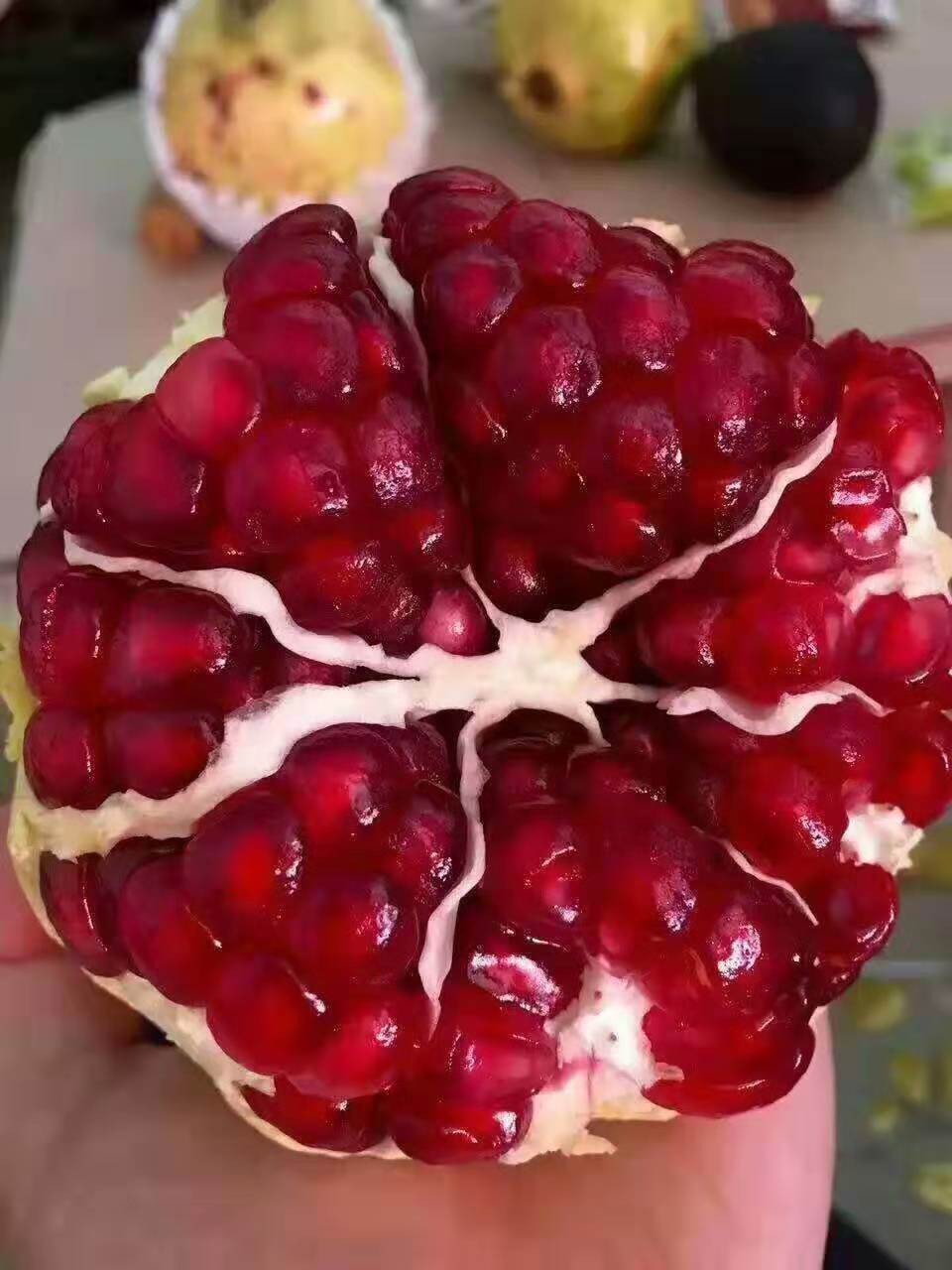 一公分大红袍石榴树苗图文介绍东莞