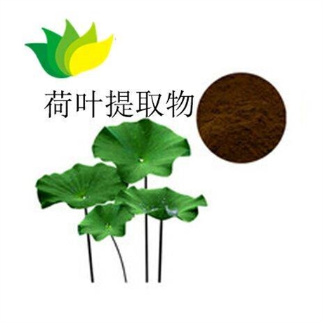 荷葉提取物 荷葉堿