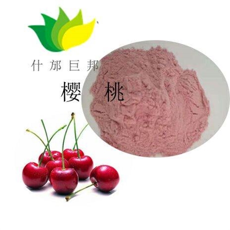 櫻桃果粉  櫻桃提取物