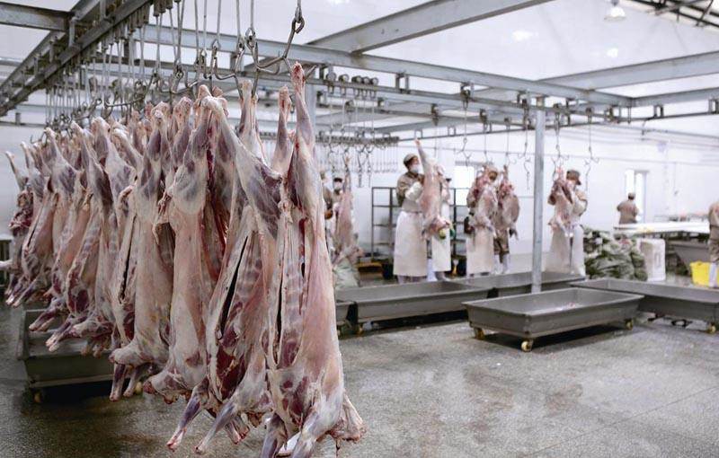 宰杀牲畜智能型废水处理设施