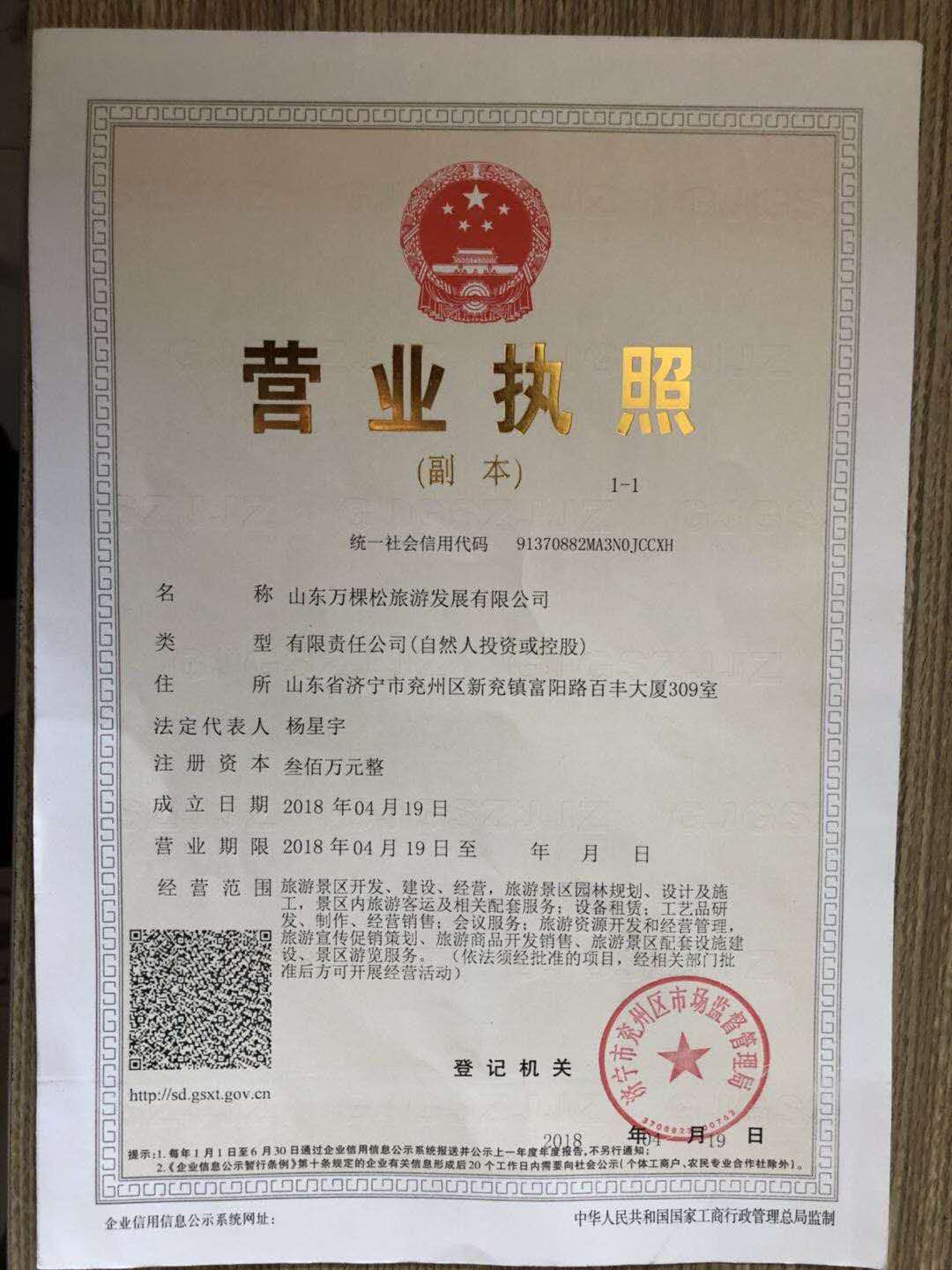 山东蓝洞文化传播有限公司